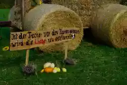 'Trecker und Liebe' in a higher resolution