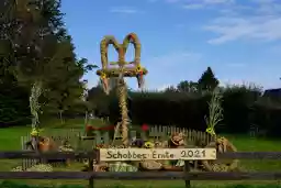 'Schobbes Ernte' in a higher resolution