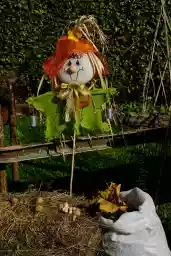 'Strohpuppe' in a higher resolution