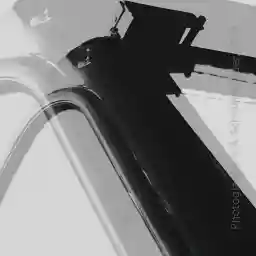 'Bus vertex' in a higher resolution