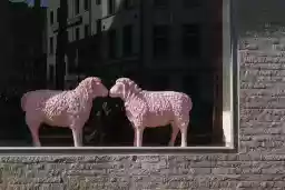 'Franz & Franzi' in a higher resolution