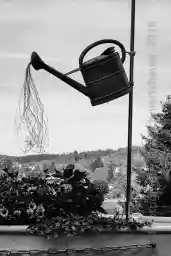 'Trockenheit 2018' in a higher resolution